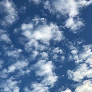 Meet your Posher, Diego